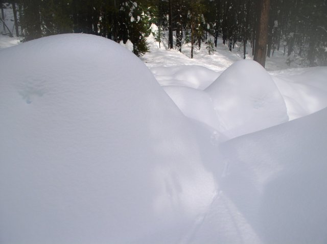 Sunriver Jan 06a 112 